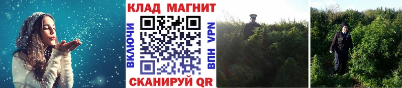 Как найти наркотики Енисейск LSD-25  Канабис  A PVP  МЕФ  Cocaine  ГАШИШ 