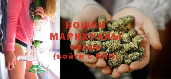 крисы Бугульма