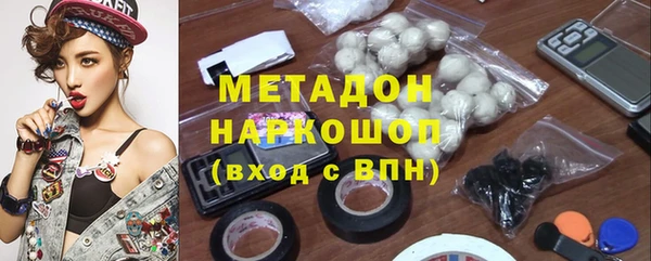 прущие грибы Тайга