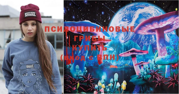 крисы Бугульма