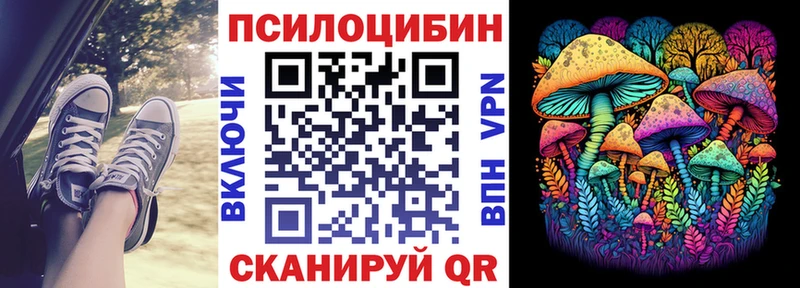 Галлюциногенные грибы Psilocybine cubensis  mega как зайти  Енисейск 